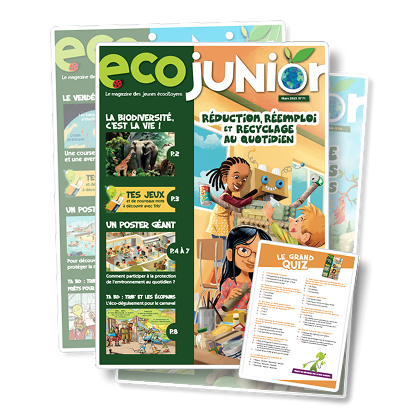 eco junior cover